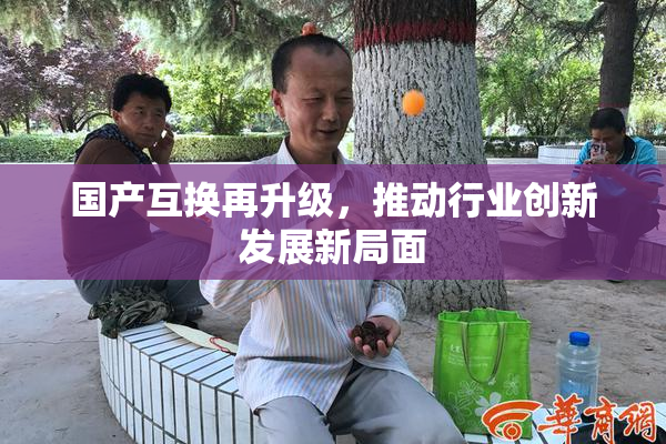 国产互换再升级，推动行业创新发展新局面