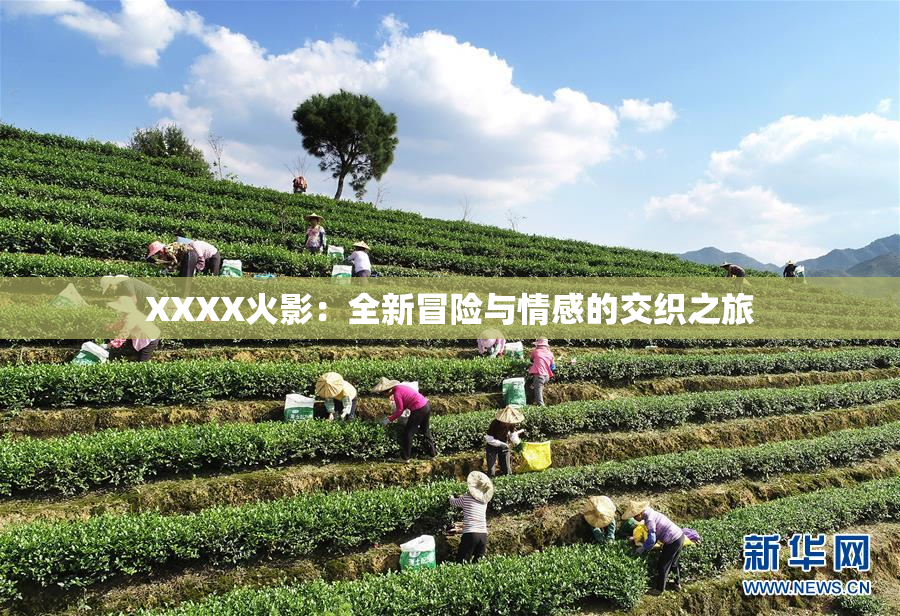 XXXX火影：全新冒险与情感的交织之旅