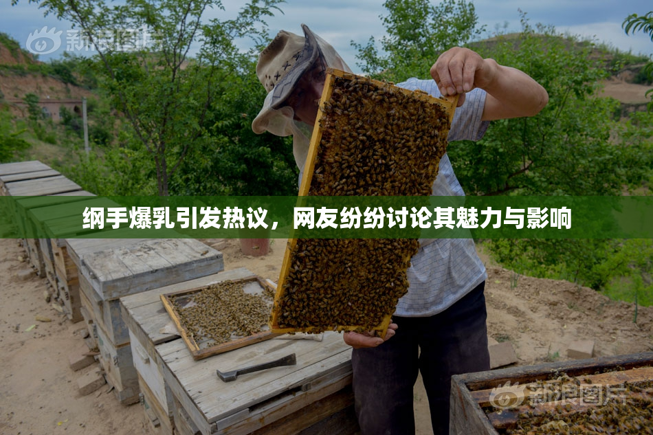 纲手爆乳引发热议，网友纷纷讨论其魅力与影响