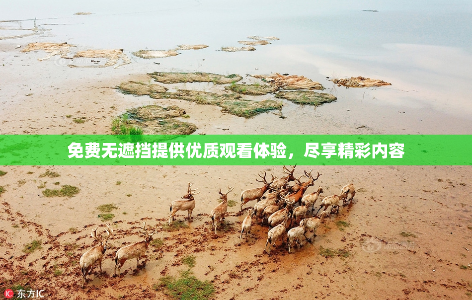 免费无遮挡提供优质观看体验，尽享精彩内容