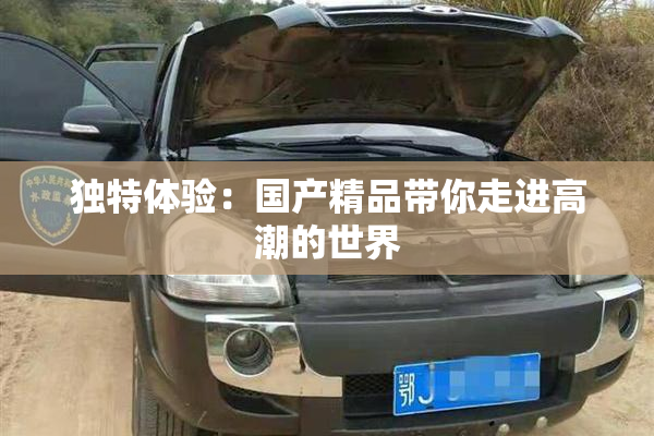 独特体验：国产精品带你走进高潮的世界
