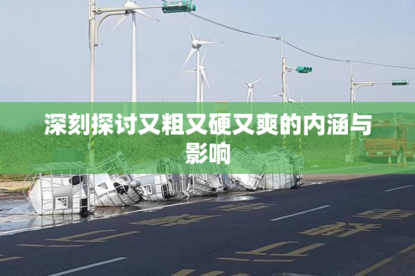 深刻探讨又粗又硬又爽的内涵与影响