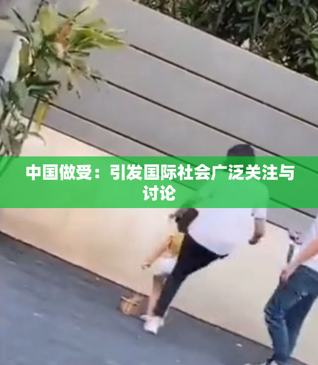中国做受：引发国际社会广泛关注与讨论