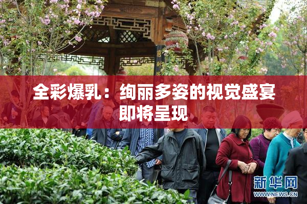全彩爆乳：绚丽多姿的视觉盛宴即将呈现