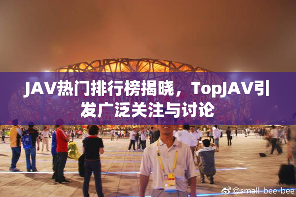 JAV热门排行榜揭晓，TopJAV引发广泛关注与讨论