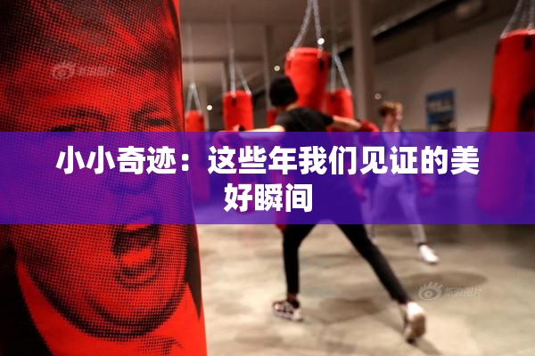 小小奇迹：这些年我们见证的美好瞬间