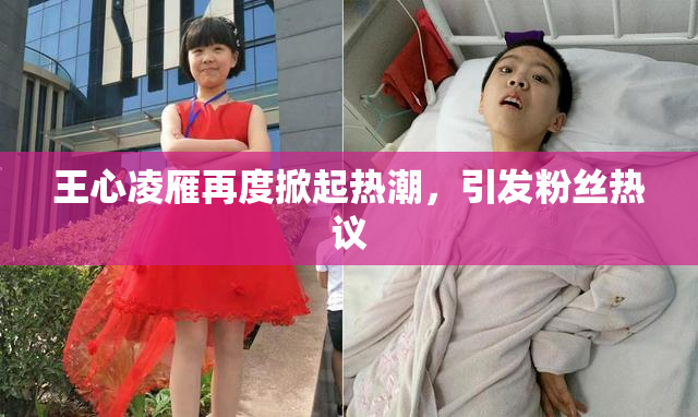 王心凌雁再度掀起热潮，引发粉丝热议