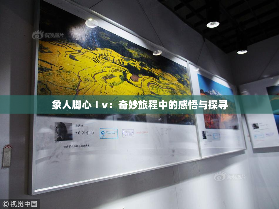 象人脚心Ⅰv：奇妙旅程中的感悟与探寻