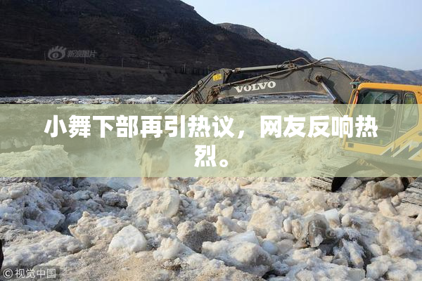 小舞下部再引热议，网友反响热烈。