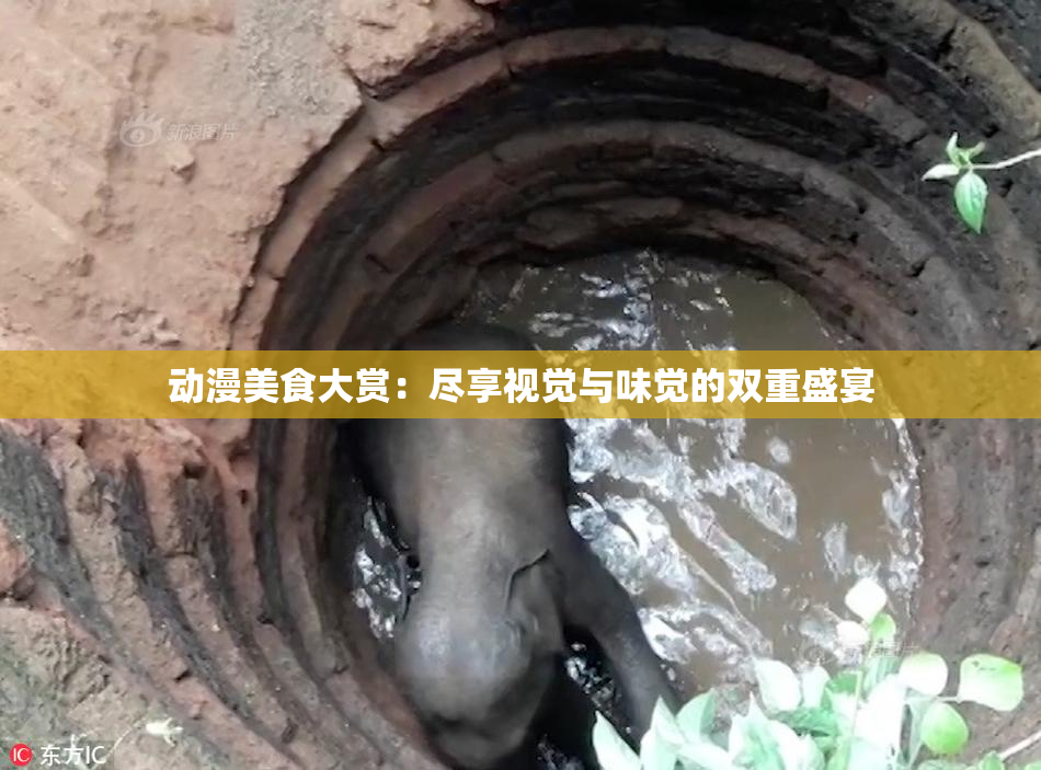 动漫美食大赏：尽享视觉与味觉的双重盛宴