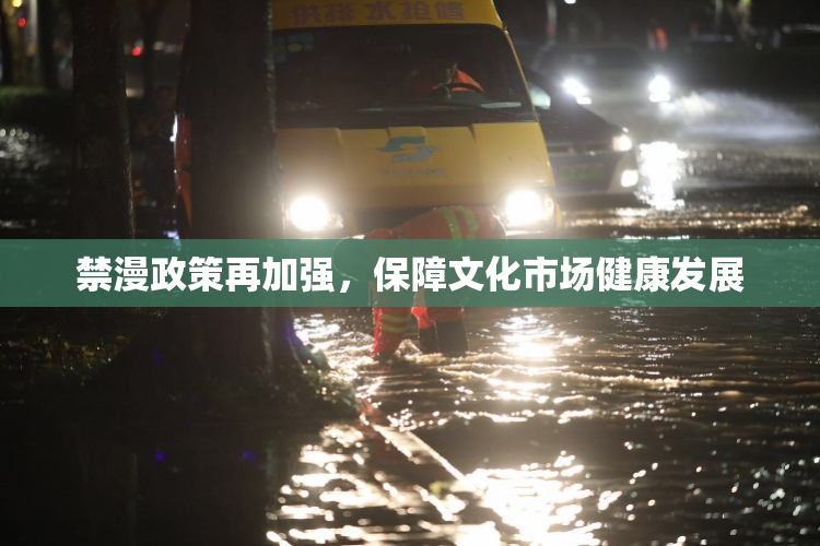 禁漫政策再加强，保障文化市场健康发展