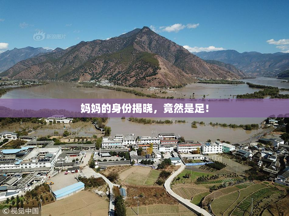 妈妈的身份揭晓，竟然是足！