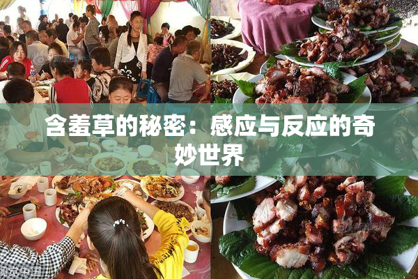含羞草的秘密：感应与反应的奇妙世界