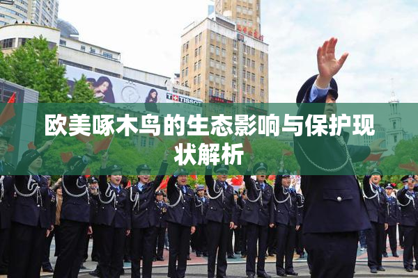 欧美啄木鸟的生态影响与保护现状解析