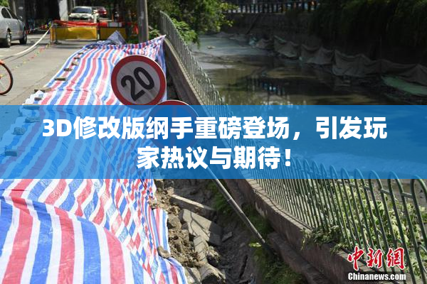3D修改版纲手重磅登场，引发玩家热议与期待！