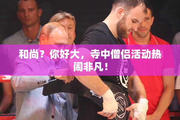 和尚？你好大，寺中僧侣活动热闹非凡！