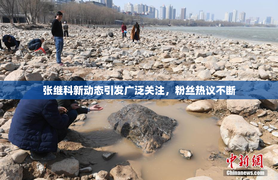 张继科新动态引发广泛关注，粉丝热议不断
