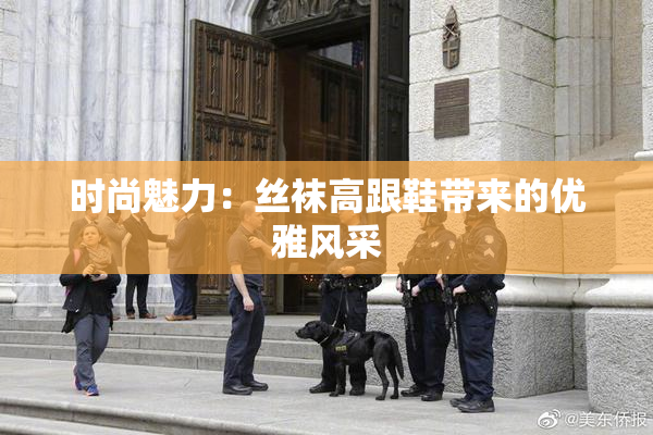 时尚魅力：丝袜高跟鞋带来的优雅风采