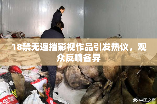 18禁无遮挡影视作品引发热议，观众反响各异