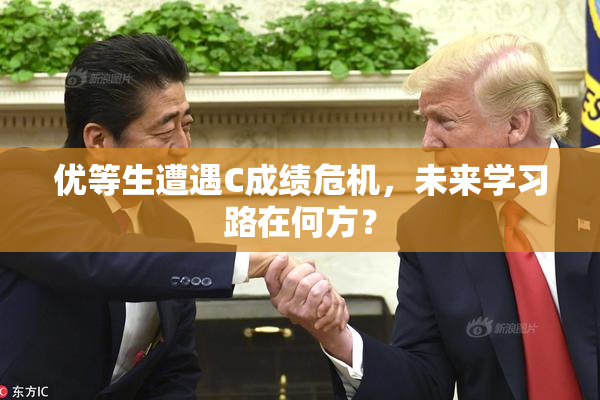 优等生遭遇C成绩危机，未来学习路在何方？