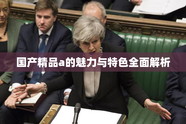 国产精品a的魅力与特色全面解析
