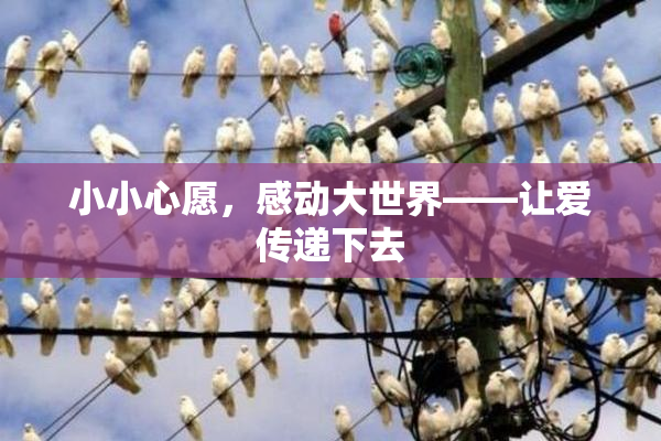 小小心愿，感动大世界——让爱传递下去