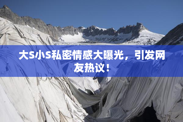 大S小S私密情感大曝光，引发网友热议！