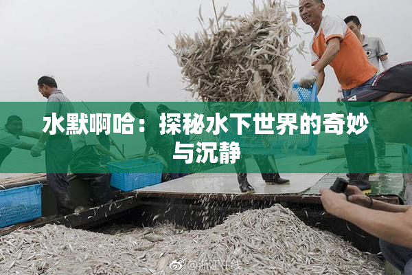水默啊哈：探秘水下世界的奇妙与沉静
