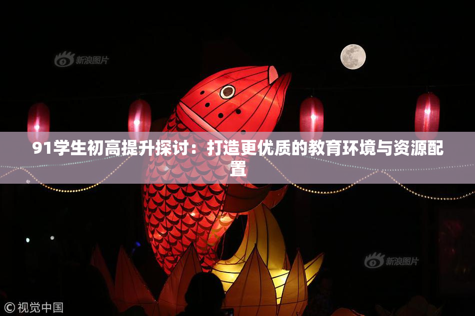 91学生初高提升探讨：打造更优质的教育环境与资源配置