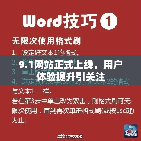 9.1网站正式上线，用户体验提升引关注
