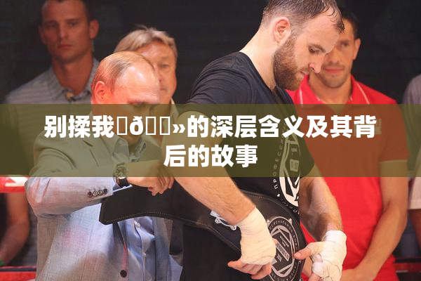 别揉我‌🐻的深层含义及其背后的故事