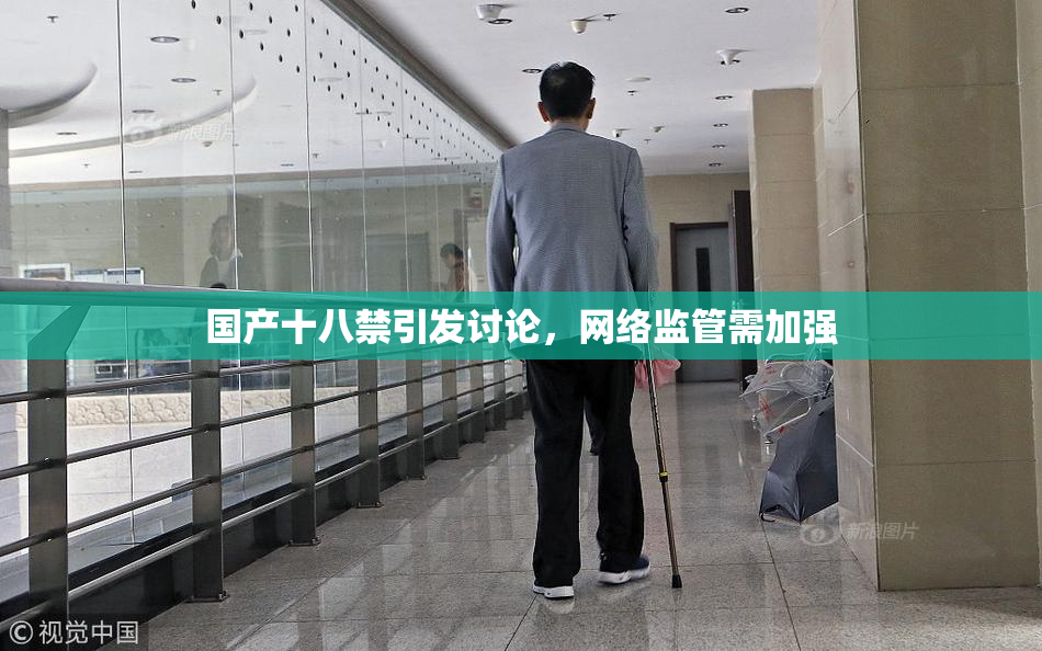 国产十八禁引发讨论，网络监管需加强