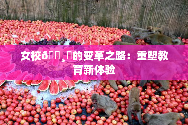 女校🌸‌的变革之路：重塑教育新体验