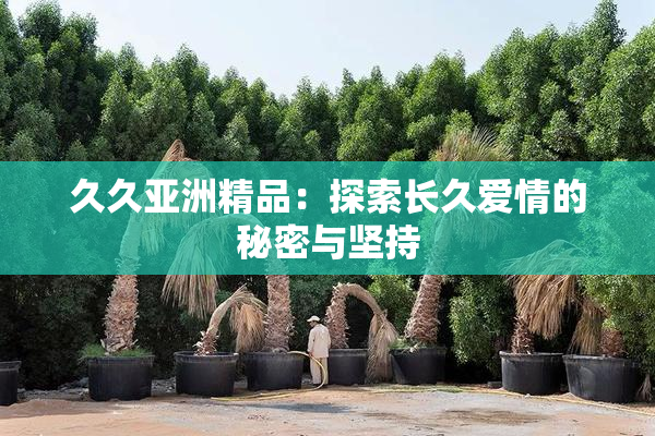 久久亚洲精品：探索长久爱情的秘密与坚持