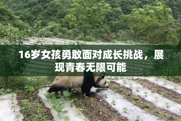 16岁女孩勇敢面对成长挑战，展现青春无限可能