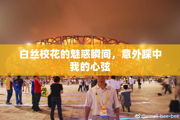 白丝校花的魅惑瞬间，意外踩中我的心弦