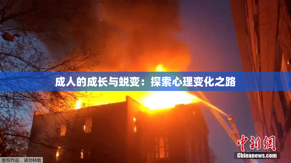 成人的成长与蜕变：探索心理变化之路