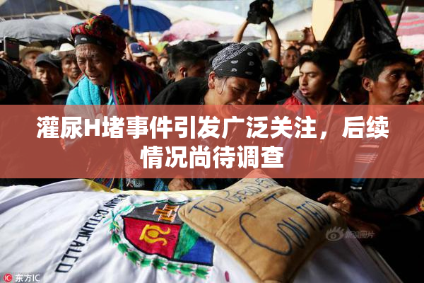 灌尿H堵事件引发广泛关注，后续情况尚待调查