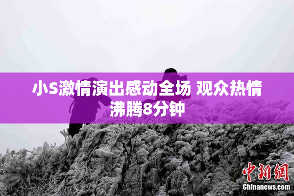 小S激情演出感动全场 观众热情沸腾8分钟