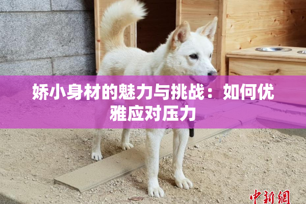 娇小身材的魅力与挑战：如何优雅应对压力