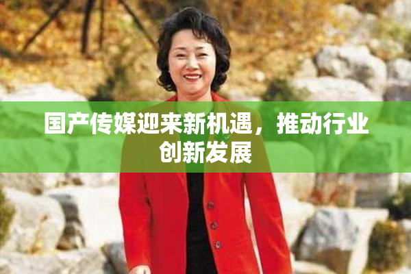 国产传媒迎来新机遇，推动行业创新发展