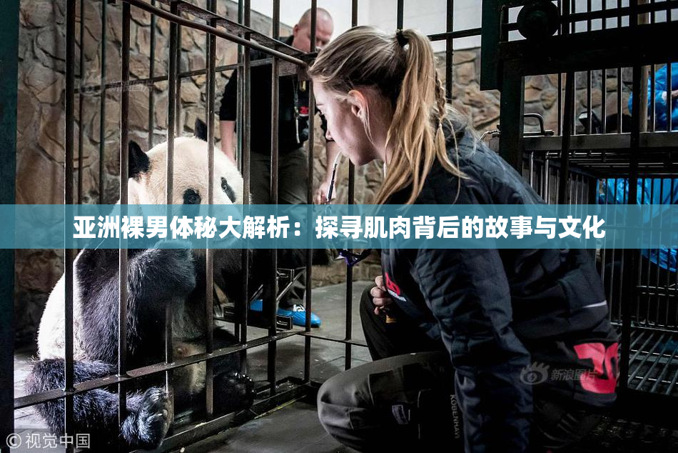 亚洲裸男体秘大解析：探寻肌肉背后的故事与文化