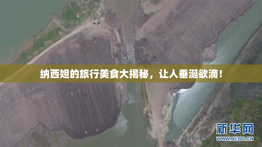 纳西妲的旅行美食大揭秘，让人垂涎欲滴！