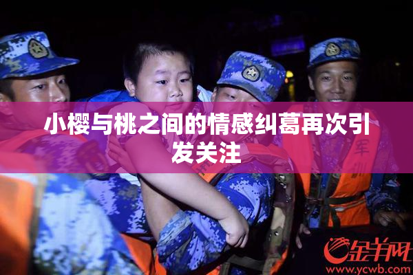 小樱与桃之间的情感纠葛再次引发关注