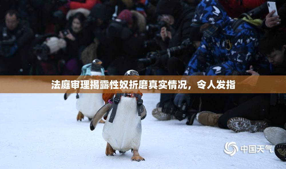 法庭审理揭露性奴折磨真实情况，令人发指