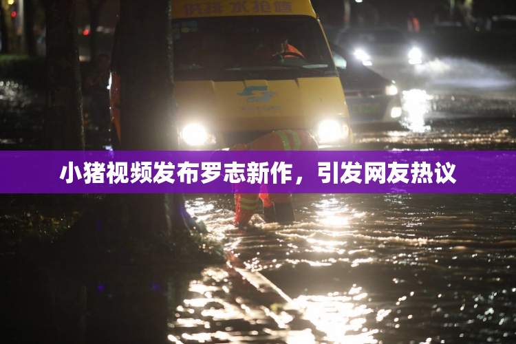小猪视频发布罗志新作，引发网友热议