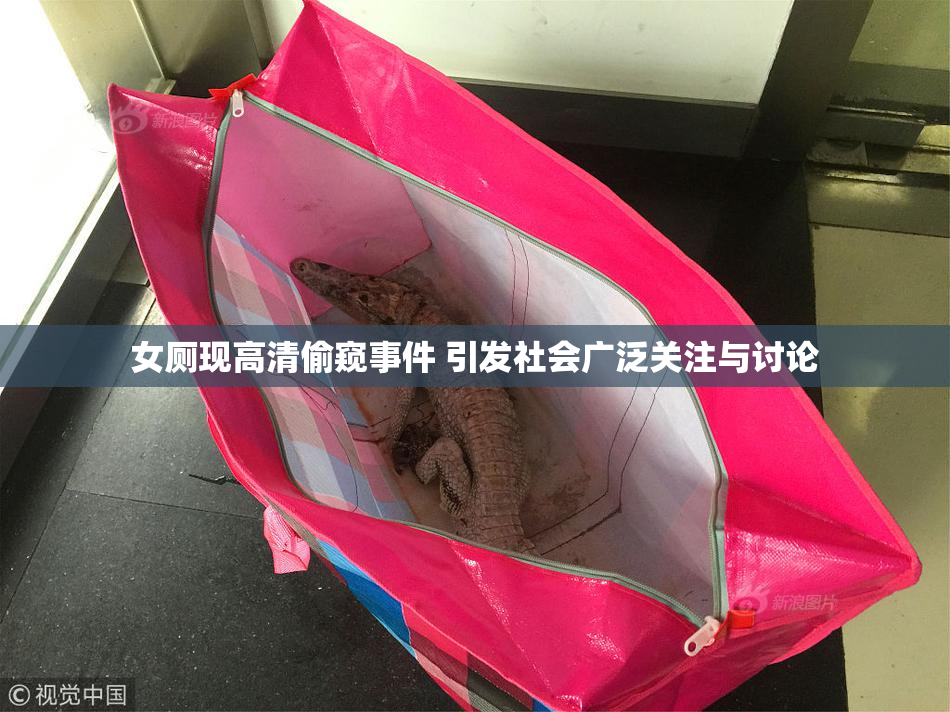 女厕现高清偷窥事件 引发社会广泛关注与讨论