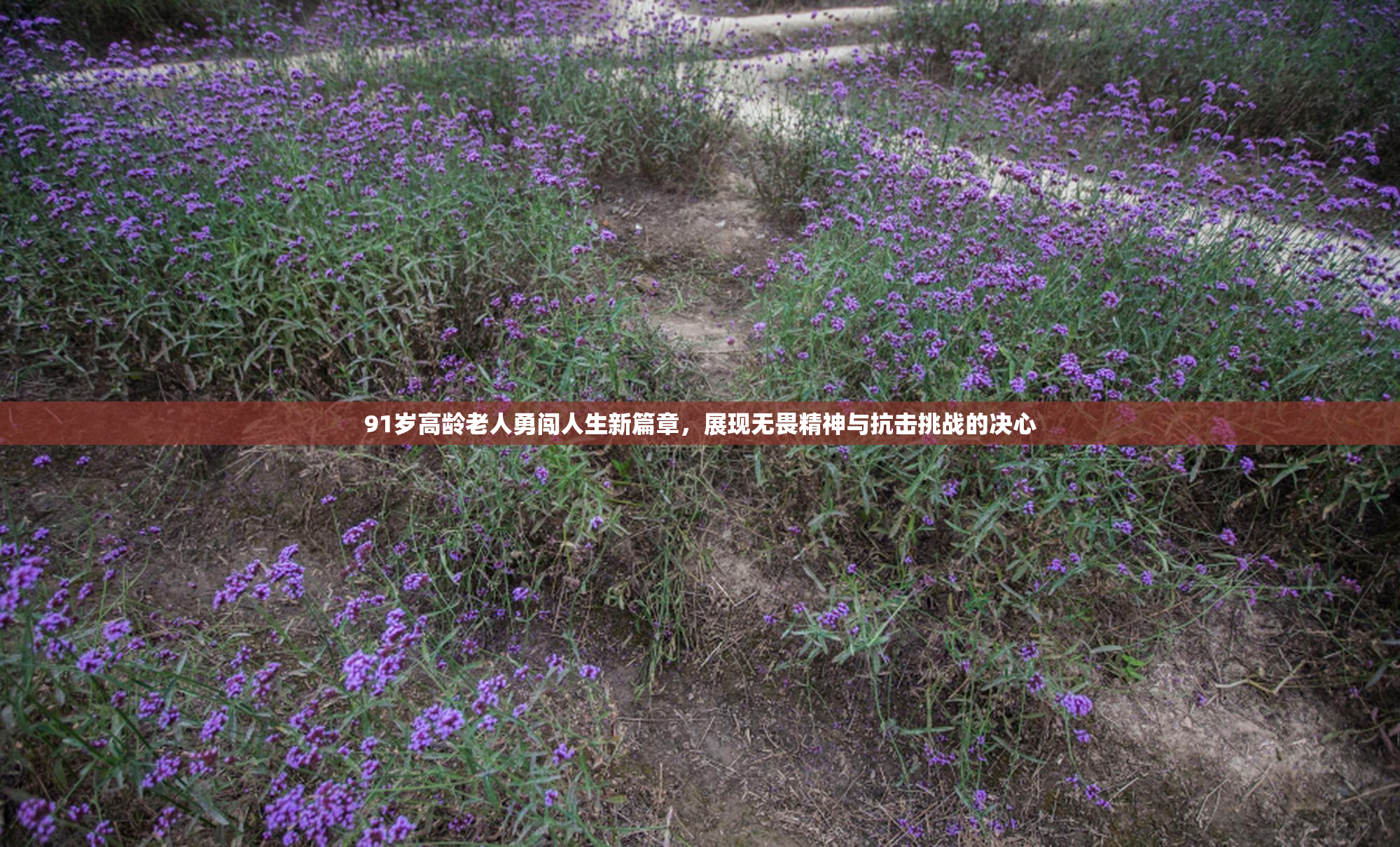 91岁高龄老人勇闯人生新篇章，展现无畏精神与抗击挑战的决心