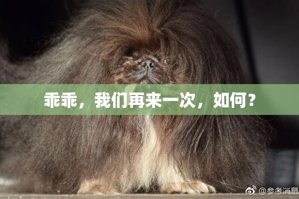 乖乖，我们再来一次，如何？