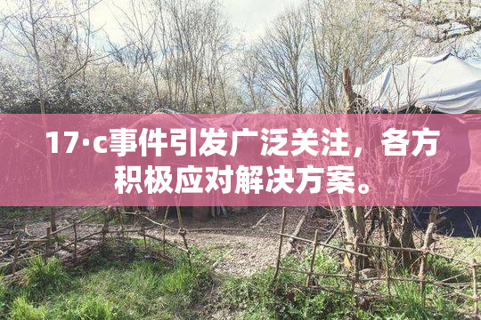 17·c事件引发广泛关注，各方积极应对解决方案。